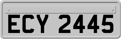 ECY2445