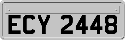 ECY2448