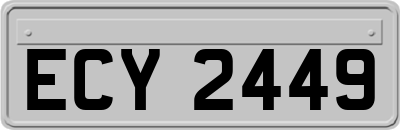 ECY2449