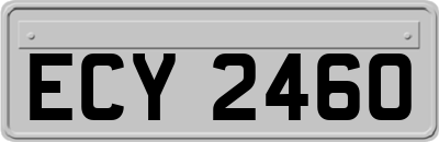 ECY2460