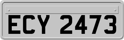 ECY2473
