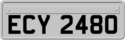 ECY2480