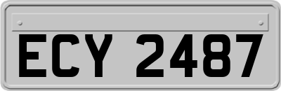 ECY2487