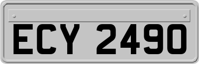 ECY2490