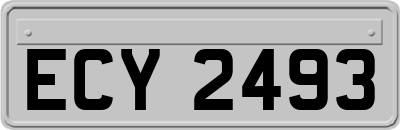 ECY2493