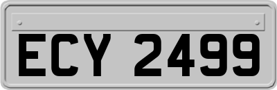 ECY2499