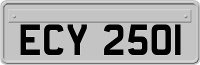 ECY2501