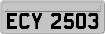 ECY2503