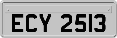 ECY2513