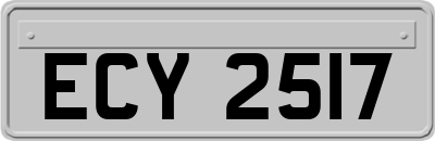 ECY2517