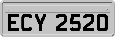 ECY2520