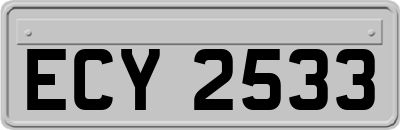 ECY2533