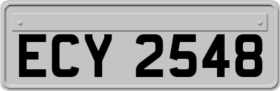 ECY2548