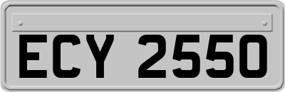 ECY2550