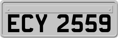 ECY2559