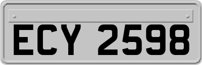 ECY2598