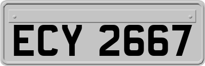 ECY2667