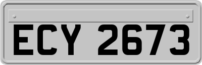 ECY2673