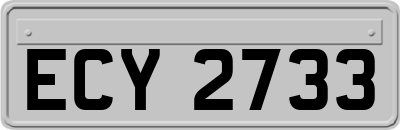 ECY2733