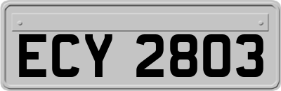 ECY2803
