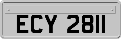 ECY2811