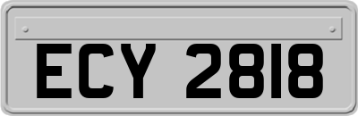 ECY2818