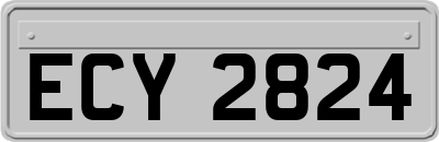 ECY2824