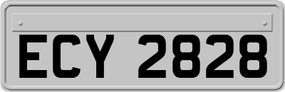 ECY2828