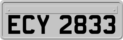 ECY2833