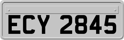 ECY2845