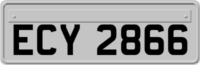 ECY2866