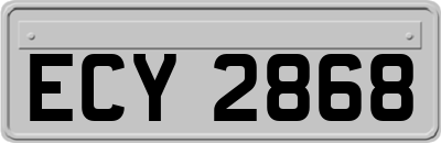 ECY2868