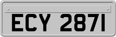 ECY2871