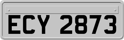 ECY2873