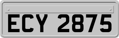 ECY2875