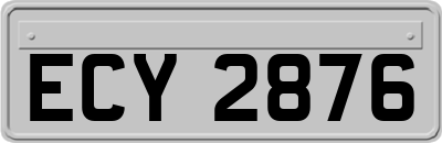 ECY2876