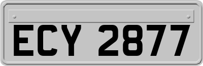 ECY2877