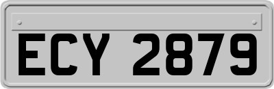 ECY2879