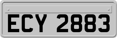 ECY2883