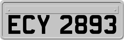 ECY2893