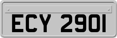 ECY2901