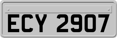 ECY2907