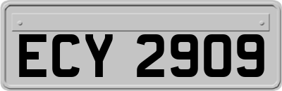 ECY2909