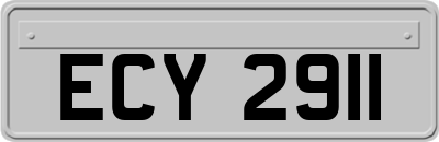 ECY2911