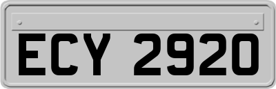 ECY2920