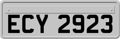 ECY2923