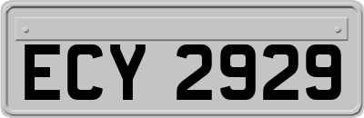 ECY2929