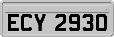 ECY2930