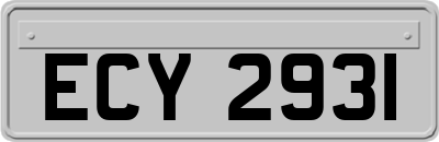 ECY2931