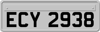 ECY2938